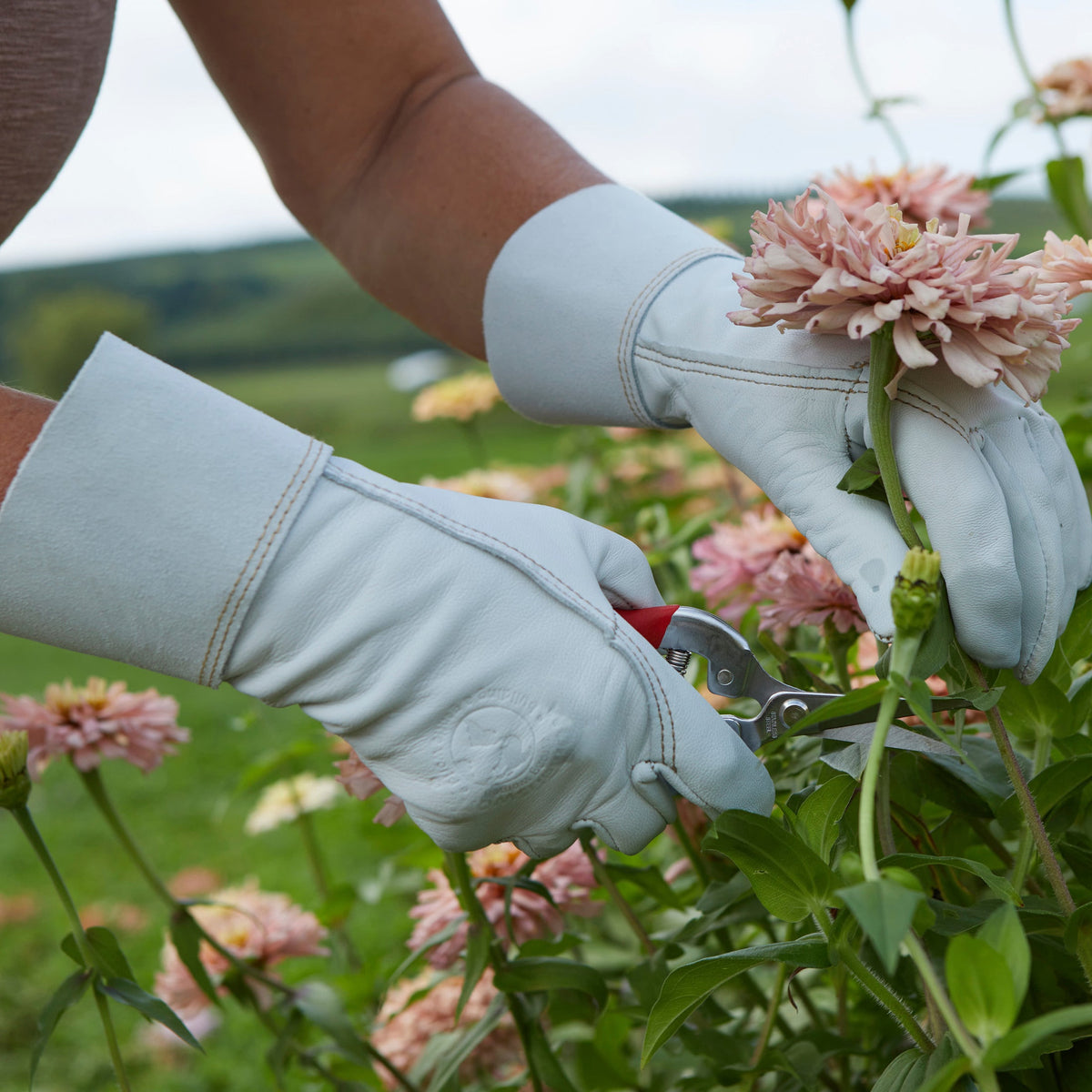 The Gardeners' Goatskin Gloves, alternate angle